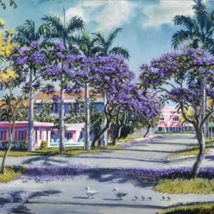 West Lake Jacarandas