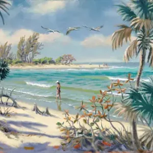 Shelling at Barefoot Beach