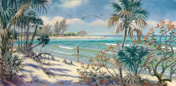 Shelling at Barefoot Beach