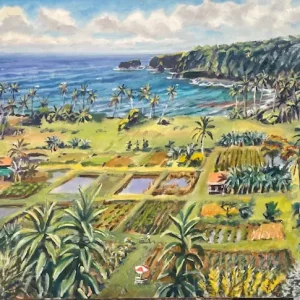 Taro Fields, Keanae