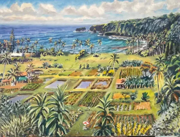 Taro Fields, Keanae