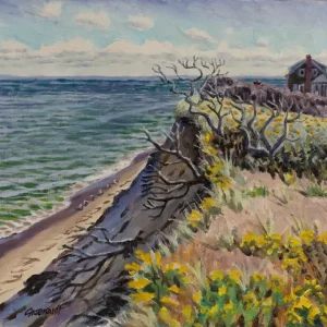 Sconset Bluff
