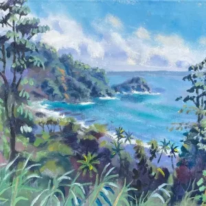 View above Rosalie, Dominica