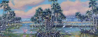 Everglades Bird Life
