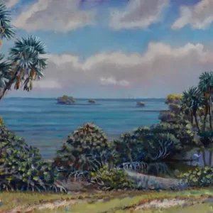 Useppa Landscape