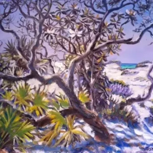 Dunes at Grayton Beach
