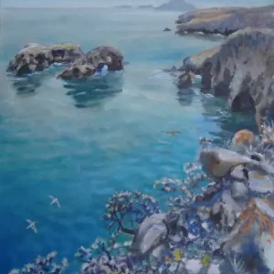 Scorpion Cove C.I.